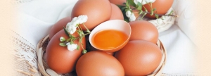 МЦСиС «Халяль» провел аудит предприятия по производству куриного яйца и продукции его глубокой переработки